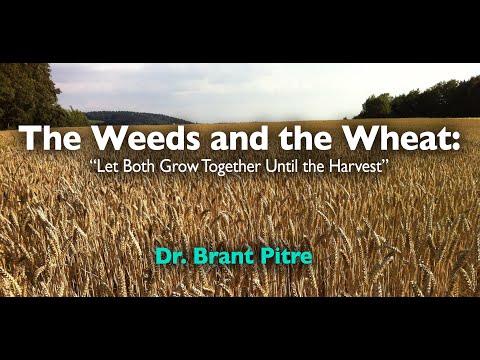 Parable of the Tares