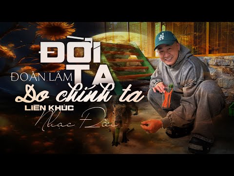 ĐỜI TA DO CHÍNH TA - Liên Khúc Nhạc Đời Đoàn Lâm Những Bài Nghe Thấm Nhất Triệu View TikTok