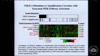 Targeting Oncogenic Pathways in Head and Neck Cancer