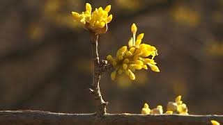 HÍREK A TERMÉSZETBŐL