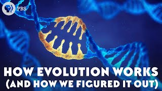 How Evolution Works (And How We Figured It Out)