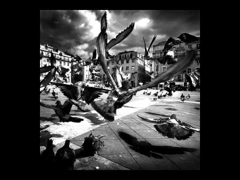 Starkaz - Ar Galim Būti