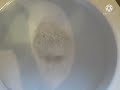 Disney Channel UK Toilet Ident 31st January 2011