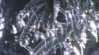 Winter Snow by Chris Tomlin