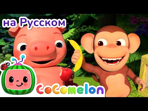 YouTube Thumbnail