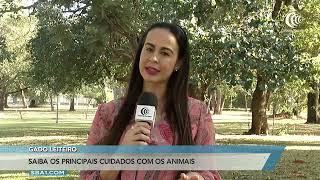 Miniatura do vídeo