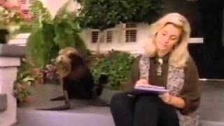 BIONIC WOMAN LINDSAY WAGNER RARE PROMOS