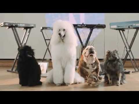 Rytmeklubben - Seen (Official)