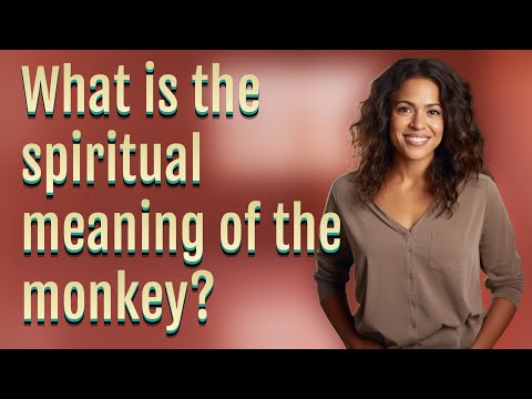 Monkey Perspective Meaning