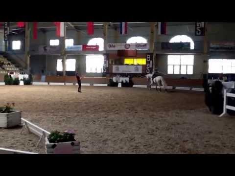 CVIO Stadl Paura 2014 - Stefanie Kowald - Freestyle