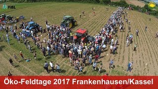 Öko-Feldtage auf der Hessischen Staatsdomäne Frankenhausen (Juni 2017)