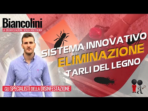 🐛​🔥​Tarli del legno sulle travi? Guarda questo sistema innovativo per eliminarli🐛​🔥​