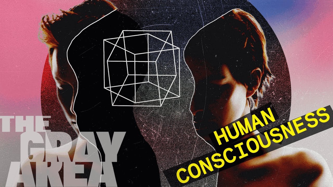 Consciousness is a mystery