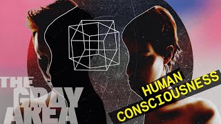 Consciousness is a mystery