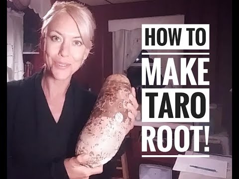 How to make Taro root!