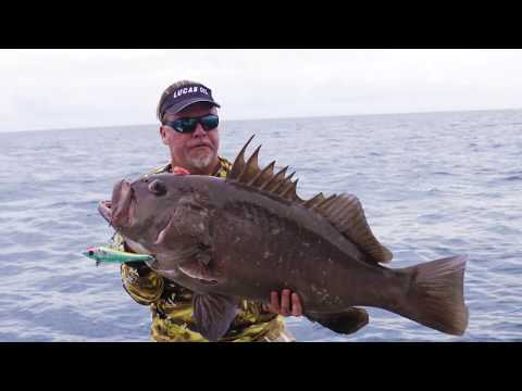 Wiley X Captivate Testimonial