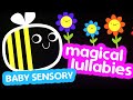 Baby Sensory Bedtime Lullaby Infant Visual Stimulation