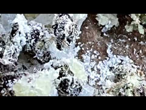 MurdaGang PB X NCG Mad Max - Deposit (Slowed) =1921=