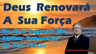 Os que esperam no Senhor tero suas foras renovadas