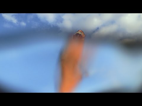 Holly Childs & Gediminas Žygus - ,Throw