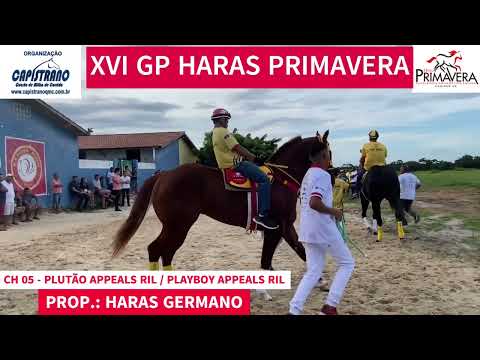 XVI GP HARAS PRIMAVERA - APRESENTAÇÃO