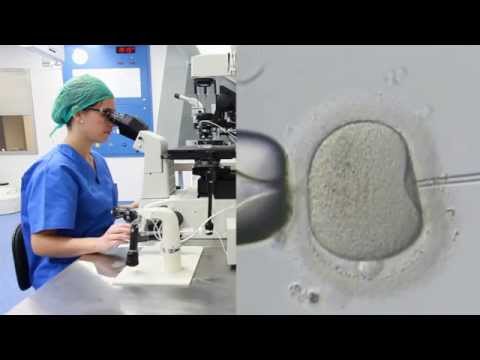 FIV OCHOA Fecundación in vitro en Marbella