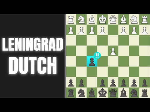 LENINGRAD DUTCH | No-Nonsense Beginner Guide