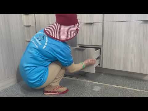 Video hàng xuất khẩu