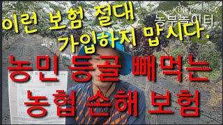 사기치는 농협손해보험을 아시나요?  Never buy this kind of insurance!