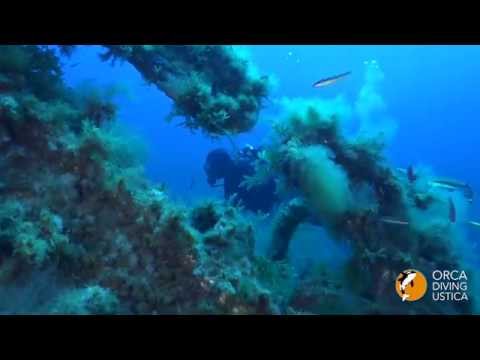 Diving in Ustica