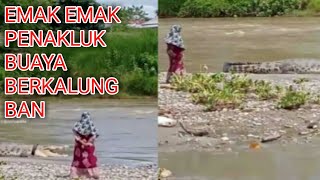 Download lagu Aksi nekat emak-emak mendekati buaya berkalung ban di palu mp3 Download lagu Aksi nekat emak-emak mendekati buaya berkalung ban di palu mp3