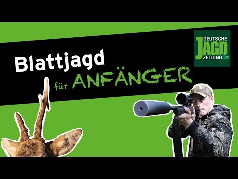 Blatten für Anfänger