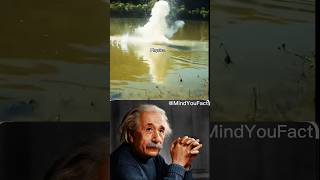 alberteinstein  sigma rule🗿.#physics ##alberteinstein ##shorts