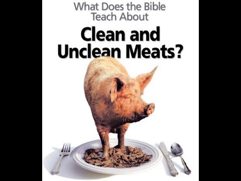 download lagu mp3 mp4 Genesis Animals For Food, download lagu Genesis Animals For Food gratis, unduh video klip Genesis Animals For Food