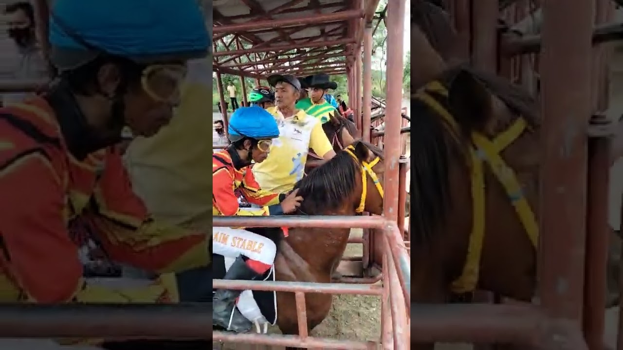 pacuan kuda Tadulako cap se Sulawesi