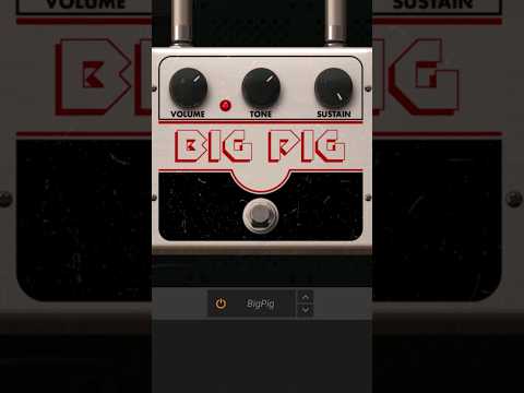 How to get Muse' bass tone in 30 seconds! #bass #bassguitar #muse