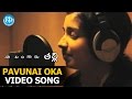 Pavunai Oka Pavunai Video Song Naa Bangaru Talli Movie Anjali Patil Siddiqui