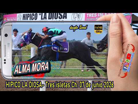 ALMA MORA-Gran desafio Zonal- Hipico la Diosa- Tres isletas Ch. Domingo 07-06-26