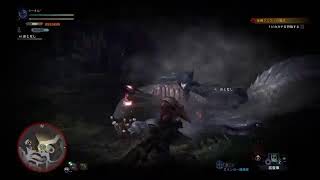 MHW－2周目NewGame－2日目