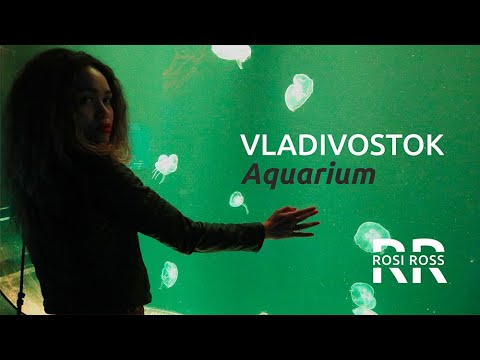 What To Do In Vladivostok | Primorskiy Okeanarium | Rosi Ross