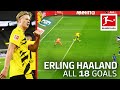 Erling Haaland - 18 Goals in Only 20 Bundesliga Games
