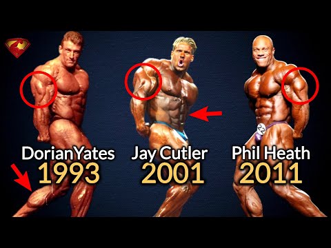 Dorian Yates vs Jay Cutler vs Phil Heath ('93 vs '01 vs '11)