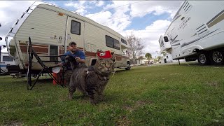 Holiday Travel Park & Publix