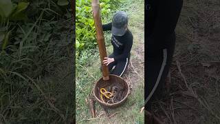 Download lagu Amazing Eel Trap Technique With Survival Skills mp3