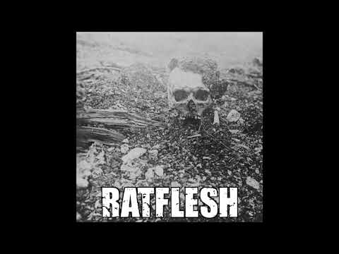 RATFLESH - Rats!