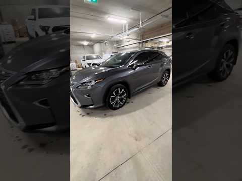 2019 Lexus RX in Silver for sale at North London Toyota in London, ON