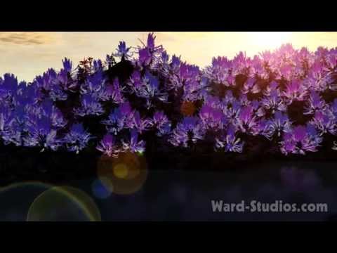 Celestial Soda Pop (Ethereal Remix) Ray Lynch