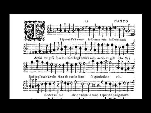 Video thumbnail for Ti spontò l’ali, Amor, la donna mia