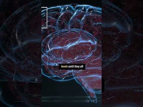 Benefits of 48-Hour Fasting Explained | Men's Health Expert