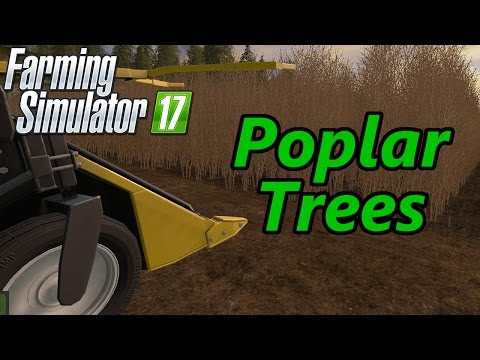 Farming Simulator 17 Tutorial | Poplar Trees